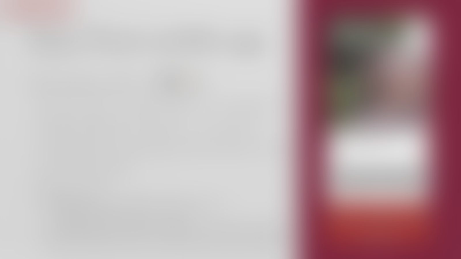 Flagship mobile app imagery — softened for the public edition.